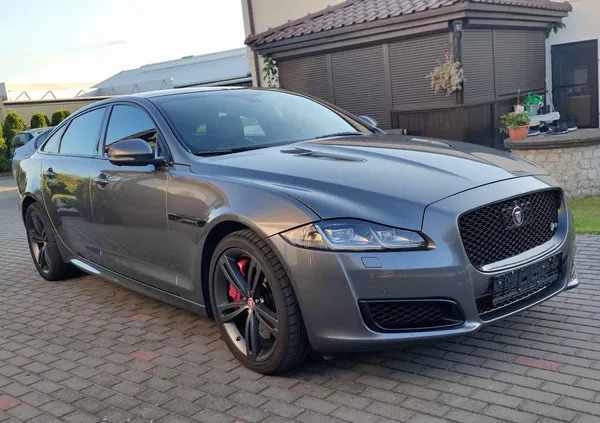 jaguar Jaguar XJR cena 179000 przebieg: 40700, rok produkcji 2016 z Oborniki